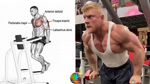 Best Chest Exercises and Workout for Mass and Strength
