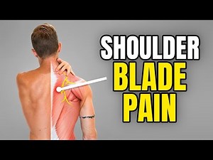 4 Shoulder Blade Pain Exercises (Interscapular Pain)
