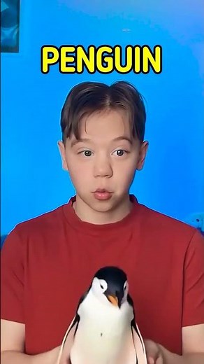 What Animal Is This? 🐵 Easy and Fun Learning