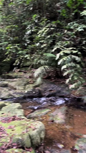 Exploring Nature: Outdoor Stretching Routine