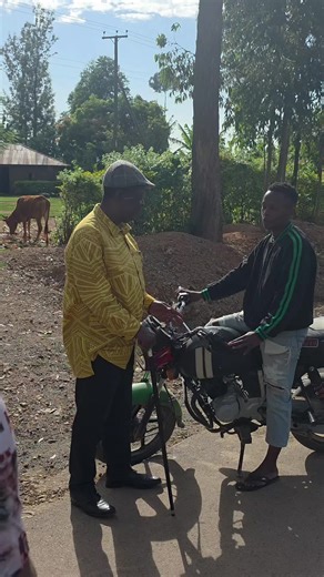 Village Vibes with Countryside Calm
