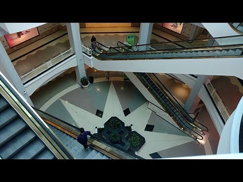 A Visit to Towson Town Center