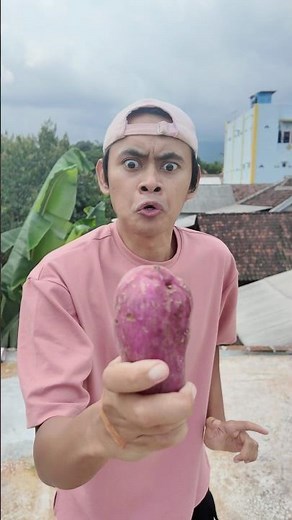 Tor Monitor Chairman 🍠