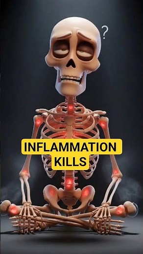 What Happens When Inflammation Stays in Your Body Too Long? | 3D Animation