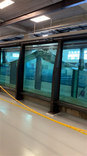 The University of Costa Rica's wave machine is so mesmerizing 😲🌊 | UNILAD Tech