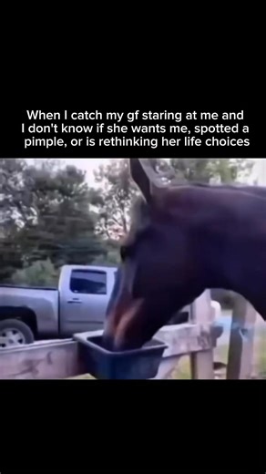 Newday Clip | When I catch my gf staring at me and I don’t know if she wants me, spotted a pimple, or is rethinking her life choices is peak... | Instagram