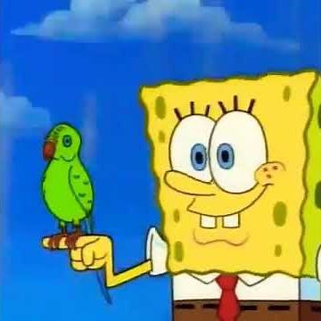 Spongebob sleepy time