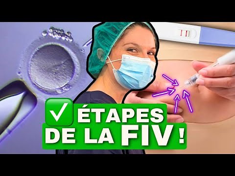 How does IVF work? Immersion in assisted reproduction in a fertility clinic.