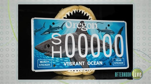 All About Salmon Sharks & New Sharks of Oregon License Plate!
