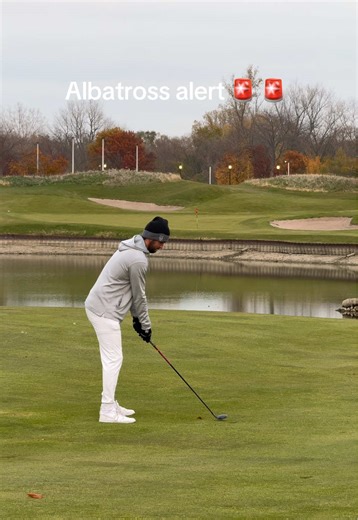 Understanding the Albatross in Golf Scoring