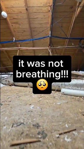 Homeowners: STOP Doing This With Your Attic Insulation! #buildingscience #construction