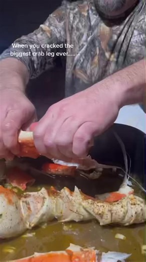 When you crack the biggest crab leg ever >>> 😍! #alaskankingcrabco #crablegslover #crablegs #crablegcrack #colossalcrablegs #akc
