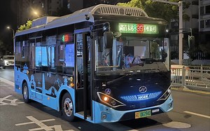 新区公交39路（彩虹新村开往金山路首末站），全程约35分钟