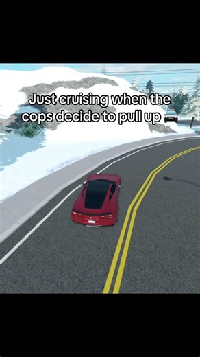 Silly Liberty County cops