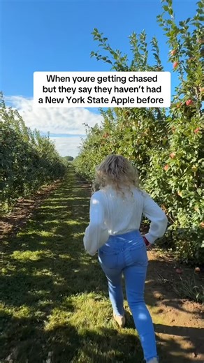 Never had a New York State apple? Don’t worry… I got you. 🍎✨ Crisp, juicy, and grown with care. These apples are hand-picked by local farmers, rushed from the orchard to your stores at peak freshness, and sold by retailers who know quality when they see it. Whether you grab them straight from a farm stand or toss them in your cart at the grocery store, you’re getting real New York flavor in every bite. Want to know which variety you’ll fall in love with? Or where to find them near you? Head to 