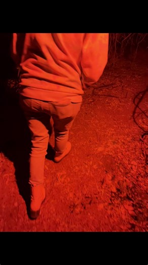 Jumpscared by a noise 🤦‍♀️