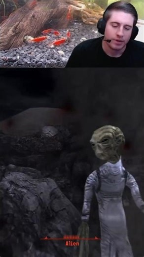 Extraterrestrial Encounter In The Mojave