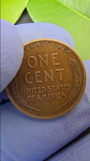 Is Your Antique Coin Rare? Real Market Value and Hidden Treasures!
