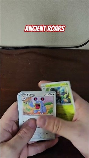 Opening a Japanese Pokémon pack Ancient Roars with ‪@reaperspawn8690‬ #pokemon #japanese #tcg
