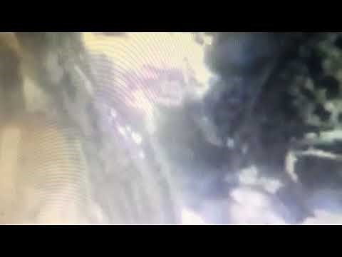 Animal Numbers (123s): 5 Crocodiles 🐊