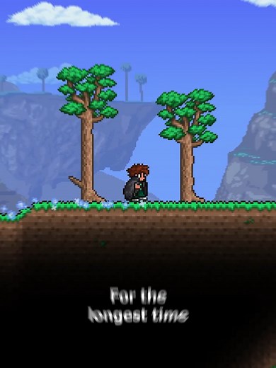The Crazy Void Bag in Terraria: A Summoner's Guide