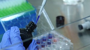 12K views · 284 reactions | Could we one day regenerate tissue to...