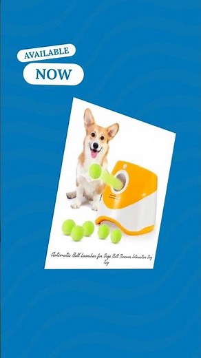 Automatic Ball Launcher for Dogs Ball Thrower Interactive Dog Toy