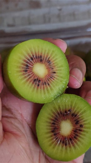 🥝 Red Kiwi Fruit 🥝 Exotic Superfruit Packed with Flavor & Nutrition 🥝