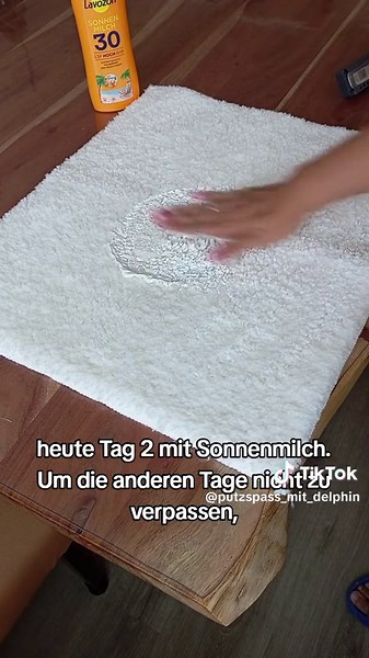 Fleckenentfernung auf Teppichen mit BIO Textilreiniger