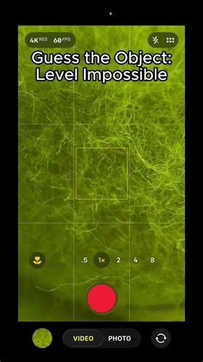 Guess the Object! 🎾 #tennis #memes #tennisball