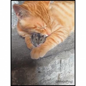 18M views · 291K reactions | Toxic relationships be like | Mejo Pogi | Facebook