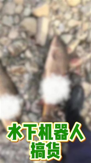 想去探明水下环境？这款便携潜航装备高清实时传画面，深浅水域自由穿行，礁石暗底一览无余。#水下机器人 #钓鱼#钓鱼那些事 #钓鱼人就是这么疯狂