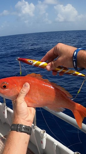 Dropping a One Pound Jig to the bottom in 800 feet of water #fishing | Ryan Morie Outdoors