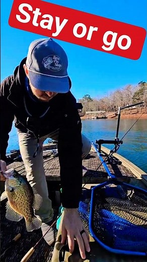 Stay or GO??? #crappiefishing #winterfishing #fishing