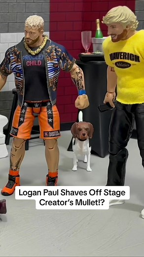 Paul Brothers WWE Wrestling Action Figure Matches