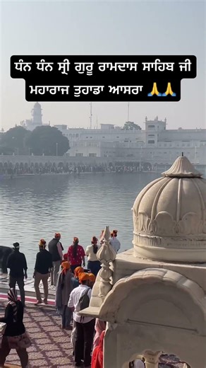 Golden Temple live at 11:00 am 🙏🌺 #dhangururamdassahibjio #livedarshan