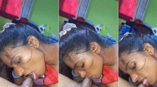 Horny Wife Sucking Dick - FSIBlog