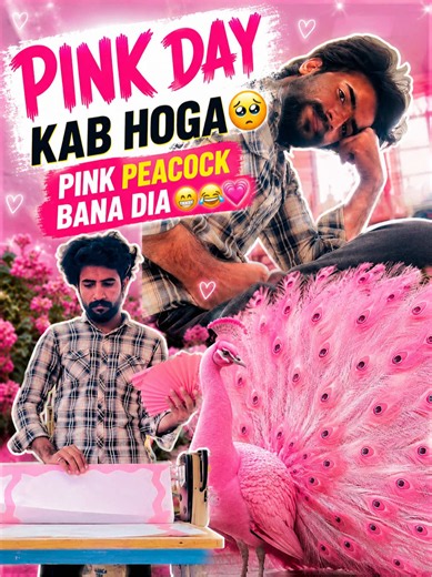Pink day kab hoga 🤧@Mr_W_Shop🛍 @Mr_waqaa @Journey of ZERO9 #iub #pinkday #assignment #mrwaqaavlogs #bahawalpur