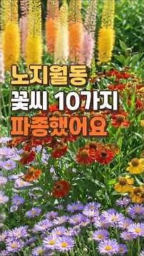 I planted 10 types of flower seeds that can survive the winter outdoors.