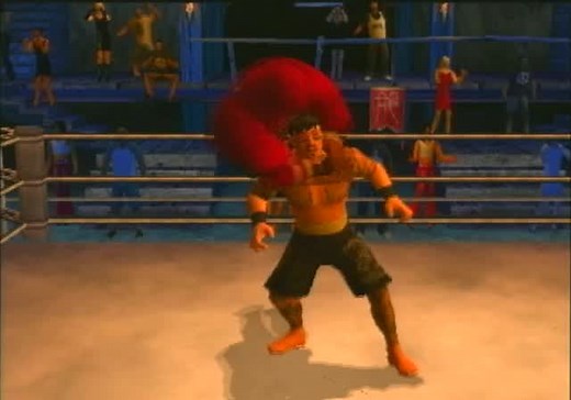 Def Jam Vendetta (Video Game 2003)