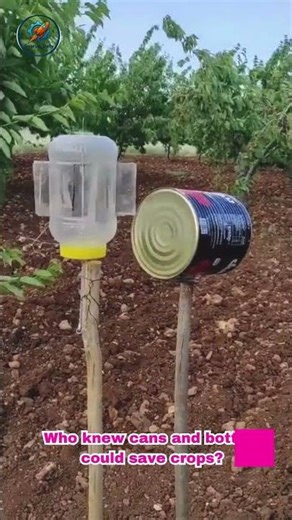 Creative Homemade Farm Tool A Smart Crop Protector #simpletools