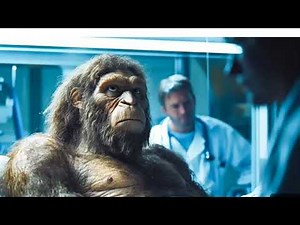 "Experiment on Monkey 🐒 | Incredible Scientific Discoveries Explained | Educational Video"