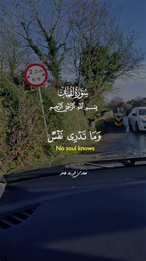 Allah's Promise Is True Don't Be Deceived by This World #islamicshorts #islamicstatus #shorts