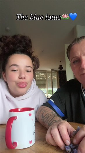 Voorgestelde accounts