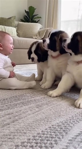 Baby talk to dogs #dog #cutebaby #funnytoddler #animals #humanity | Soulful Videos