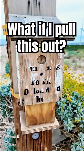 ‘What is a cache?’ It’s a hidden container in a global treasure hunting game called Geocaching! 👀