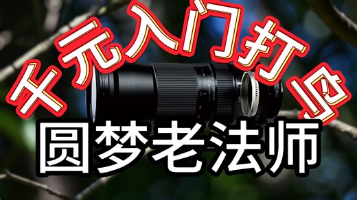 穷玩必看！自动对焦？现代防抖？超长焦？我全都要！腾龙SP 150-600mm F/5-6.3 Di VC USD(A011) 150600g1玩家评测