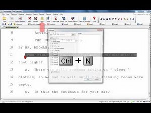 CaseViewNet Training: Annotations and Issue Codes