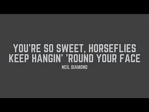 Neil Diamond - You’re So Sweet, Horseflies Keep Hangin’ ’Round Your Face (Lyrics)