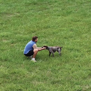 Keep your dog thriving with Black Gold Explorer. Our premium nutrition fuels a shiny coat, boundless energy, and a spirit of adventure. So when wilderness calls — you’ll be ready to answer. #unleashadventure | Black Gold Explorer - Premium Pet Food